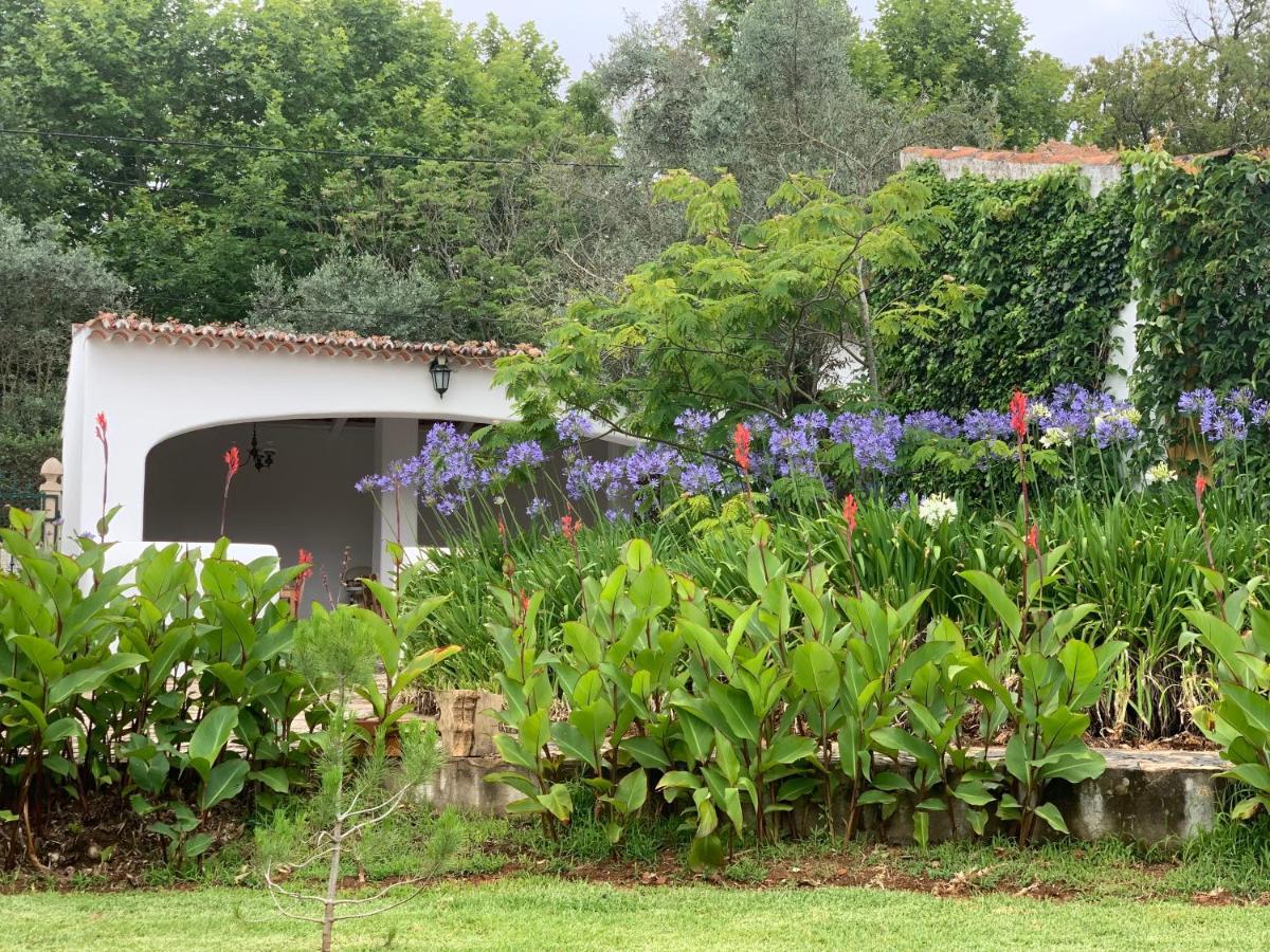 Quinta Dos Girassois Fz Apartment Ferreira do Zezere Ngoại thất bức ảnh